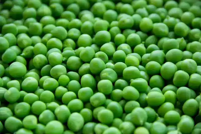 PETIT POIS